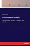 Recent Wanderings in Fiji cover