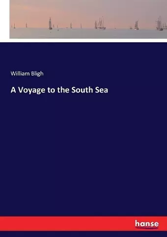A Voyage to the South Sea cover