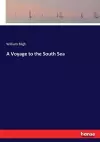 A Voyage to the South Sea cover