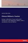 Chinese Without a Teacher cover