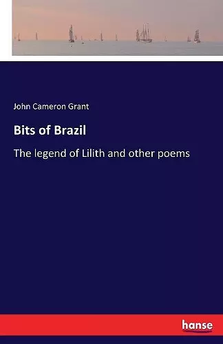 Bits of Brazil cover