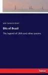 Bits of Brazil cover