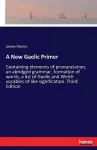 A New Gaelic Primer cover