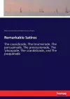 Remarkable Satires cover