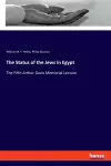 The Status of the Jews in Egypt cover