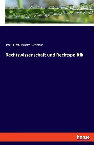 Rechtswissenschaft und Rechtspolitik cover