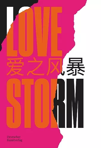 LOVE STORM cover