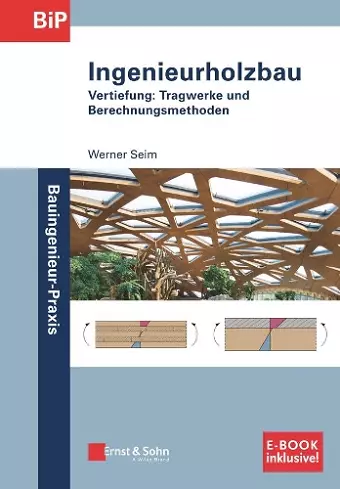 Ingenieurholzbau cover