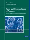Nano- and Micromechanics of Polymers cover