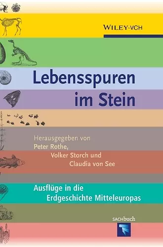 Lebensspuren im Stein cover