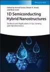 1D Semiconducting Hybrid Nanostructures cover