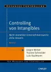 Controlling von Intangibles cover