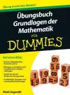 Übungsbuch Grundlagen der Mathematik für Dummies cover