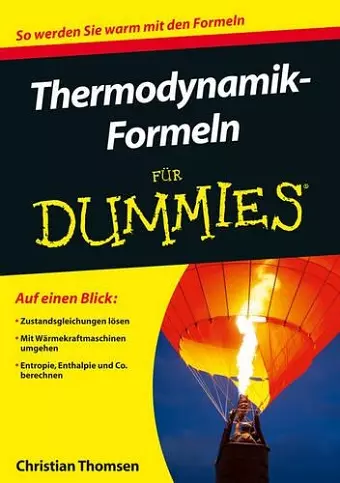 Thermodynamik-Formeln für Dummies cover