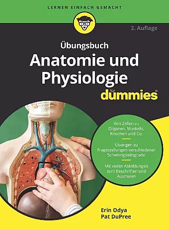 Übungsbuch Anatomie und Physiologie für Dummies cover