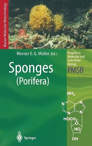 Sponges cover