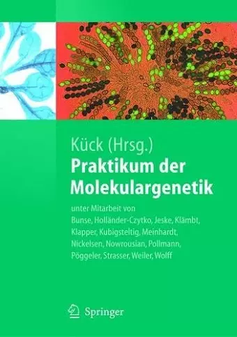 Praktikum der Molekulargenetik cover