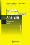 Infinite Dimensional Analysis cover