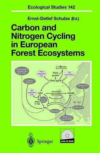 Carbon and Nitrogen Cycling in European Forest Ecosystems cover