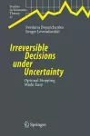 Irreversible Decisions under Uncertainty cover