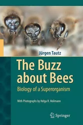 The Buzz about Bees cover