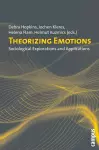 Theorizing Emotions cover