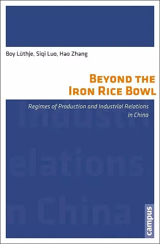 Beyond the Iron Rice Bowl cover