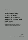 Entwicklung in der Mitbestimmung – Industrial Relations, Industrial Districts und Netzwerke cover