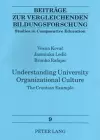 Understanding University Organizational Culture cover