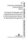 Company Strategies and Organisational Evolution in the Automotive Sector cover