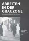 Arbeiten in Der Grauzone cover