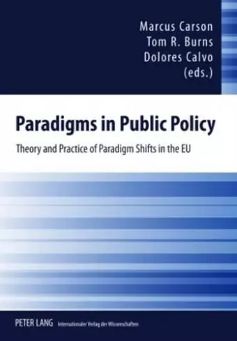 Paradigms in Public Policy cover