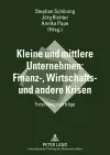 Kleine und mittlere Unternehmen: Finanz-, Wirtschafts- und andere Krisen cover