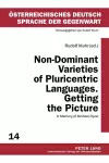 Non-Dominant Varieties of Pluricentric Languages. Getting the Picture cover