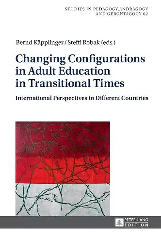 Changing Configurations in Adult Education in Transitional Times cover