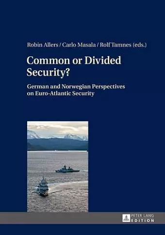 Common or Divided Security? cover