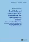 Betriebliche Und Unternehmerische Dimensionen Des Demografischen Wandels cover