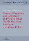 Spaces of Expression and Repression in Post-Millennial North-American Literature and Visual Culture cover