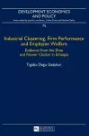 Industrial Clustering, Firm Performance and Employee Welfare cover