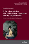 A Dark Transfusion: The Polish Literary Response to Early English Gothic cover