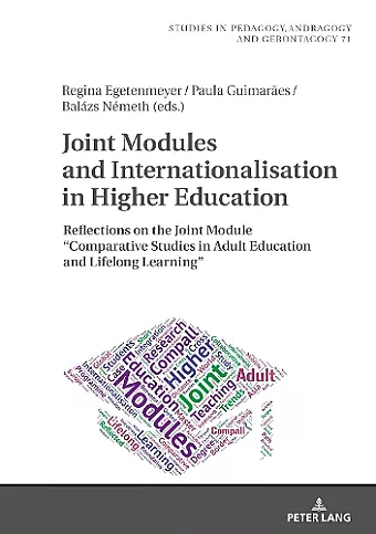 Joint Modules and Internationalisation in Higher Education cover