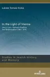 In the Light of Vienna cover