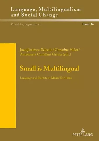 Small is Multilingual cover