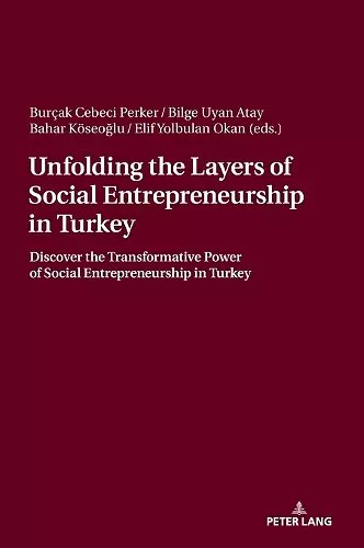 Unfolding the Layers of Social Entrepreneurship in Turkey cover