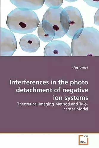 Interferences in the photo detachment of negative ion systems cover