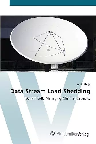 Data Stream Load Shedding cover