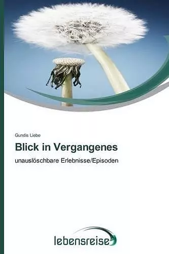 Blick in Vergangenes cover