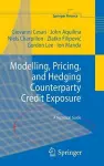 Modelling, Pricing, and Hedging Counterparty Credit Exposure cover