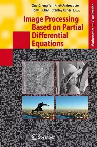 Image Processing Based on Partial Differential Equations cover
