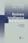 Business Intelligence Techniques cover